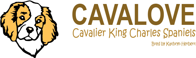 Cavalove